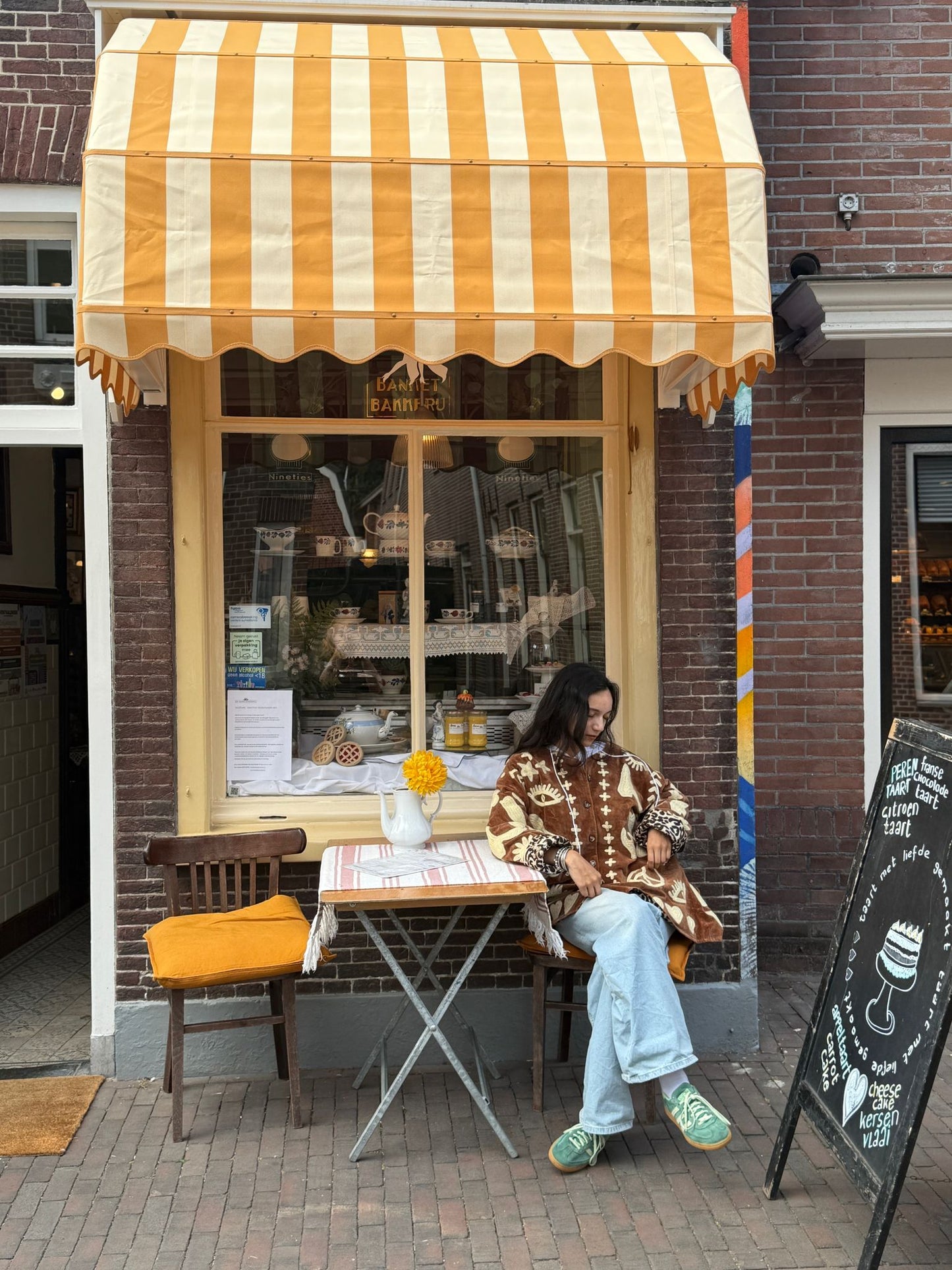 Velvet Jacket DREAM brown pastelgeel