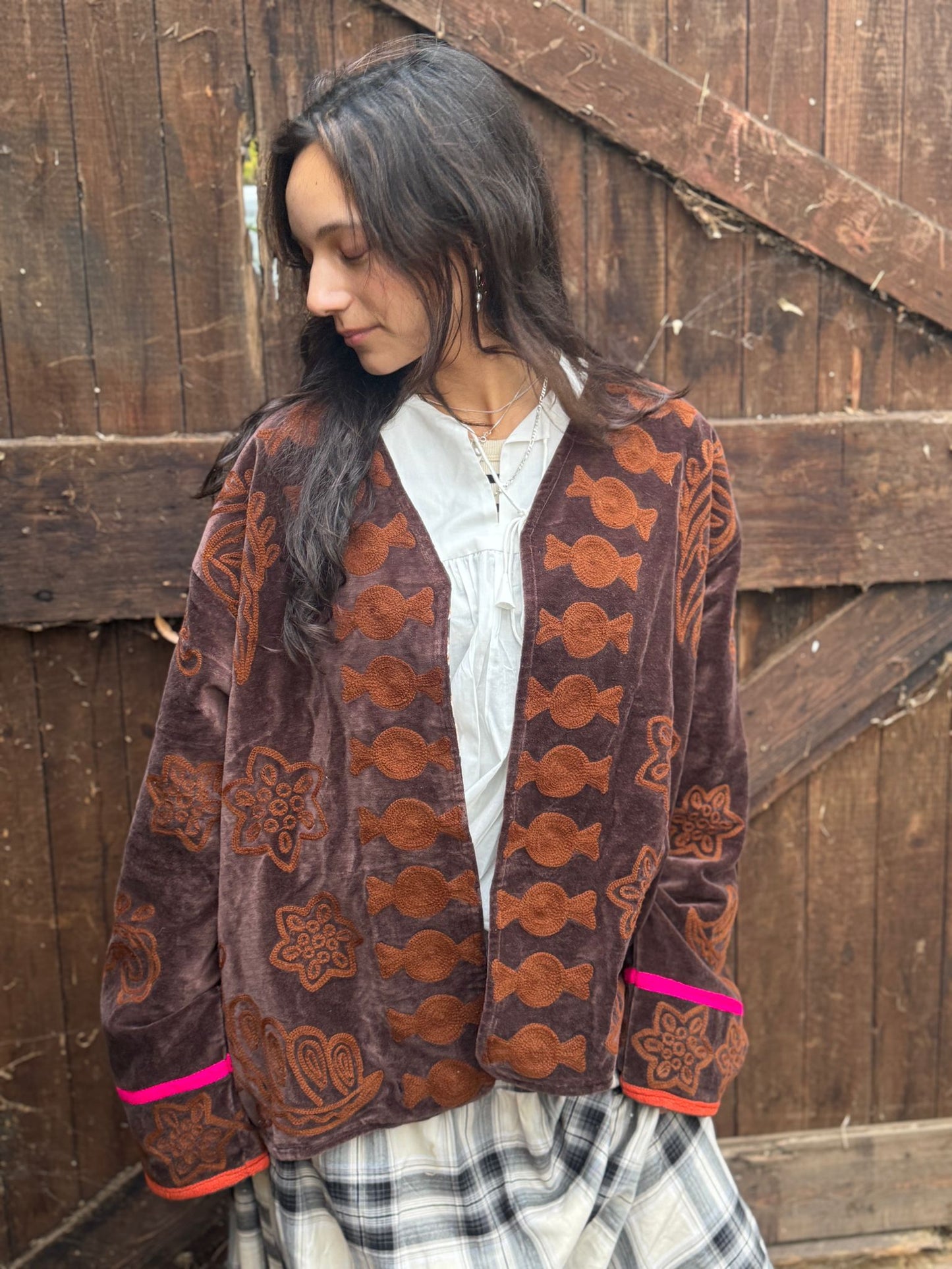 Snake velvet embroidery jacket