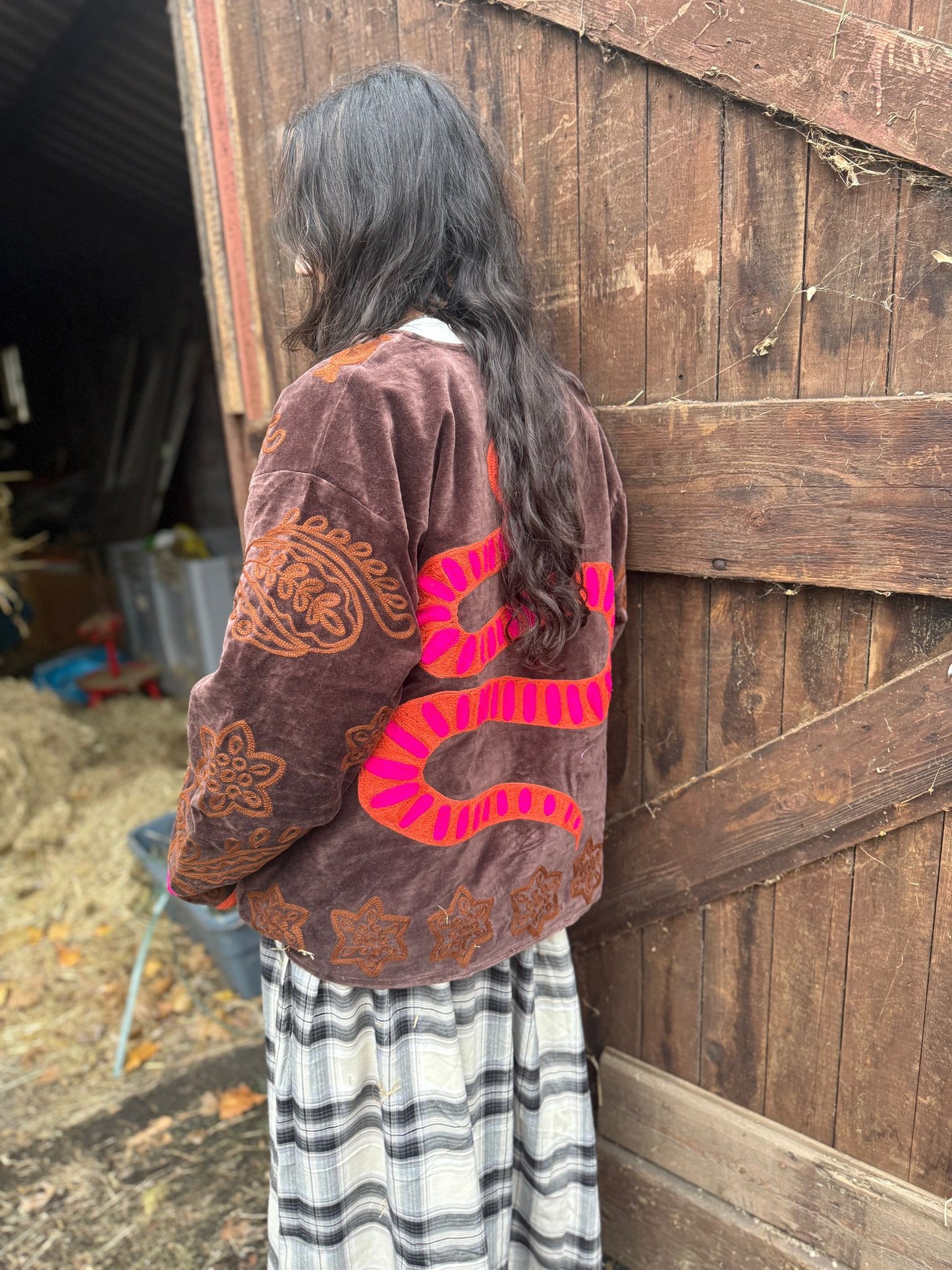 Snake velvet embroidery jacket