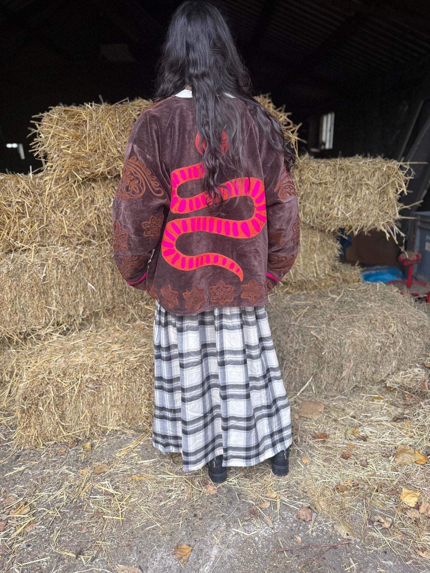 Snake velvet embroidery jacket